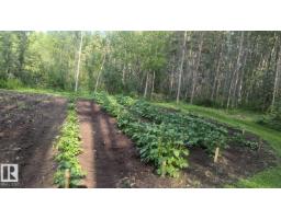 670070 Hwy 44, Rural Lesser Slave River M D , AB T0G0Z0 Photo 66