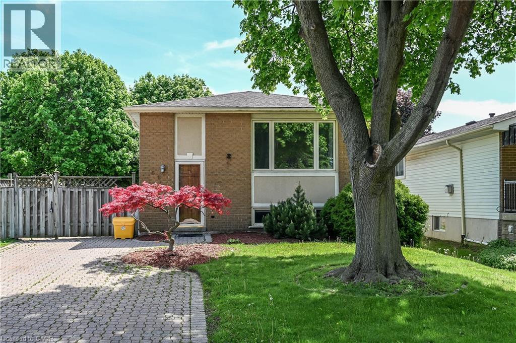 68 DUNCAIRN Crescent - 1