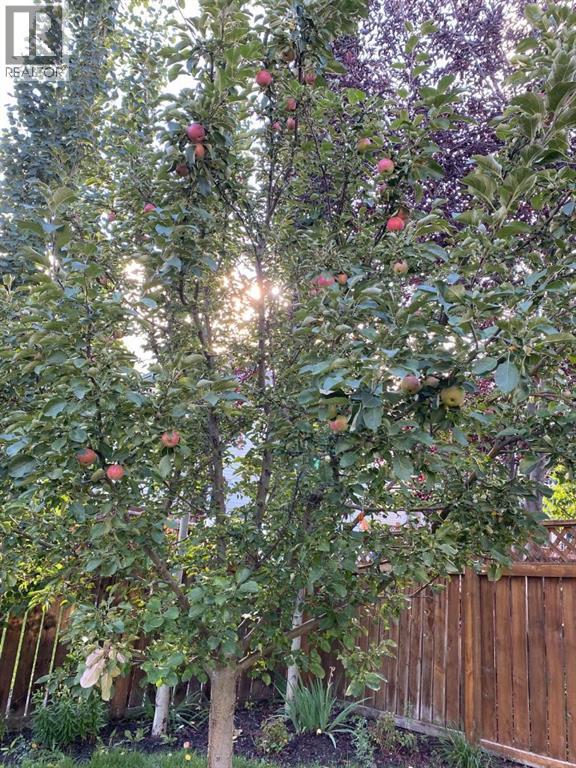 119 Valley Glen Bay NW - 41