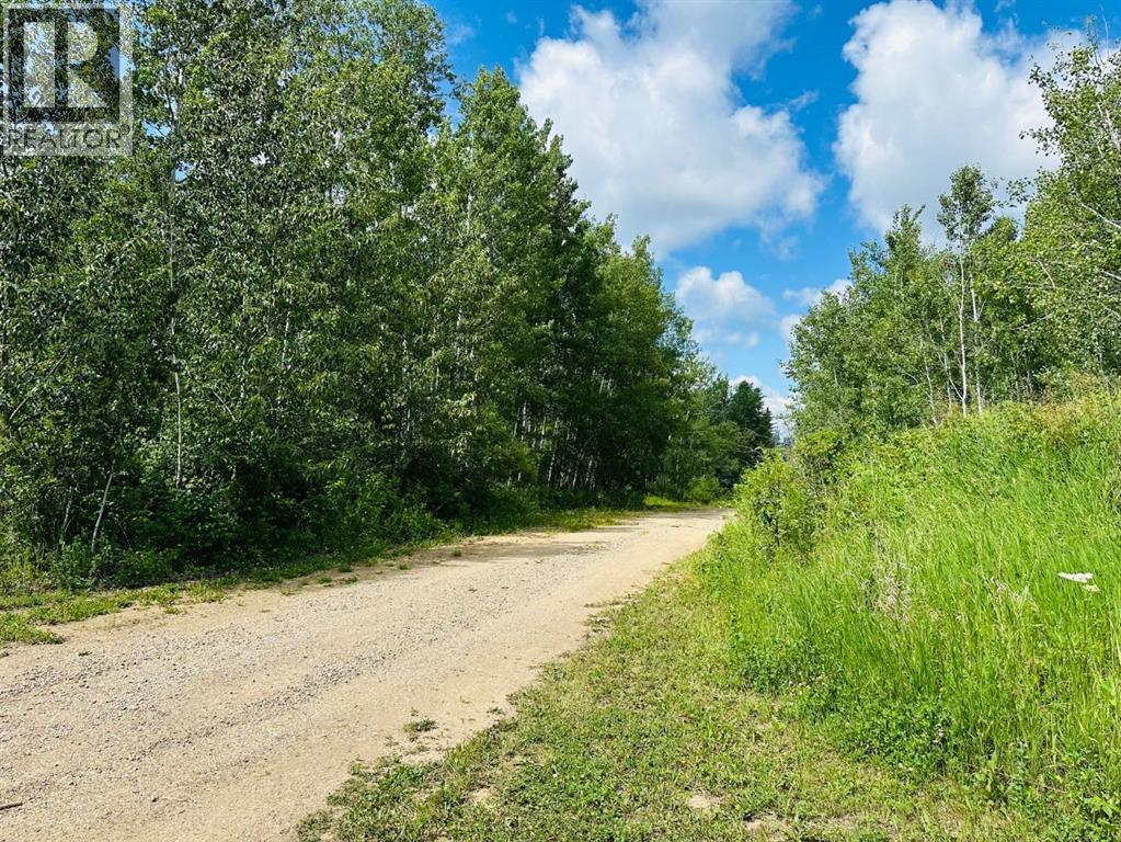 605 Loiselle Trail - photo 2