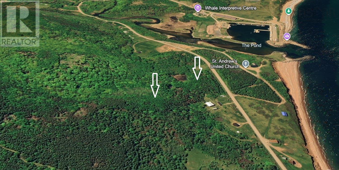 Property 2 of 6 of Red River Road