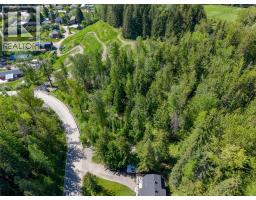 300 Burma Road, Fernie, BC V0B1M0 Photo 22