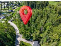 300 Burma Road, Fernie, BC V0B1M0 Photo 12