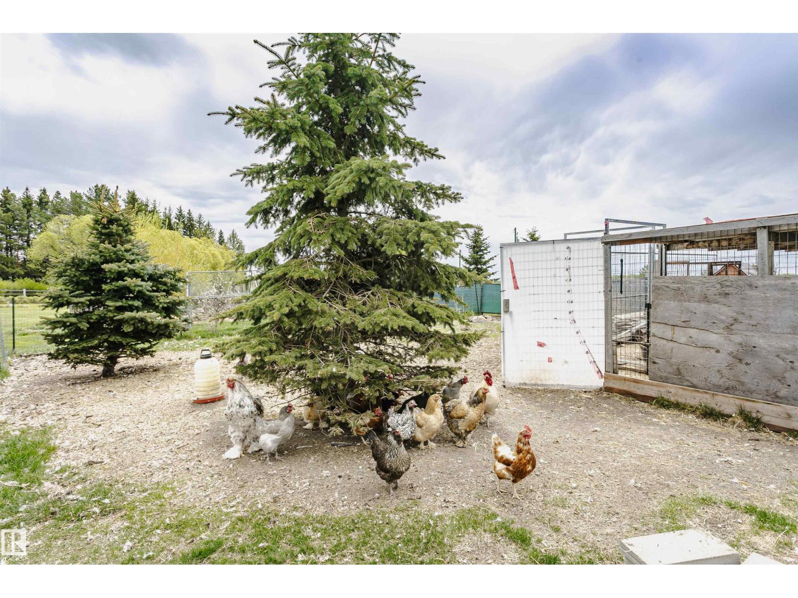 2208 TWP ROAD 534 - 51