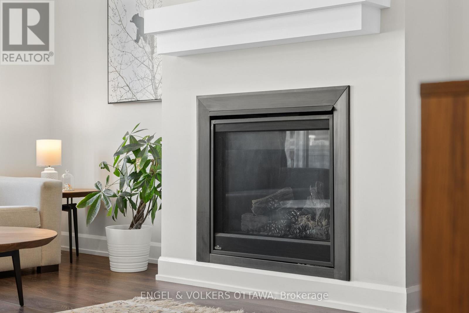 205 GEYSER PLACE - 18