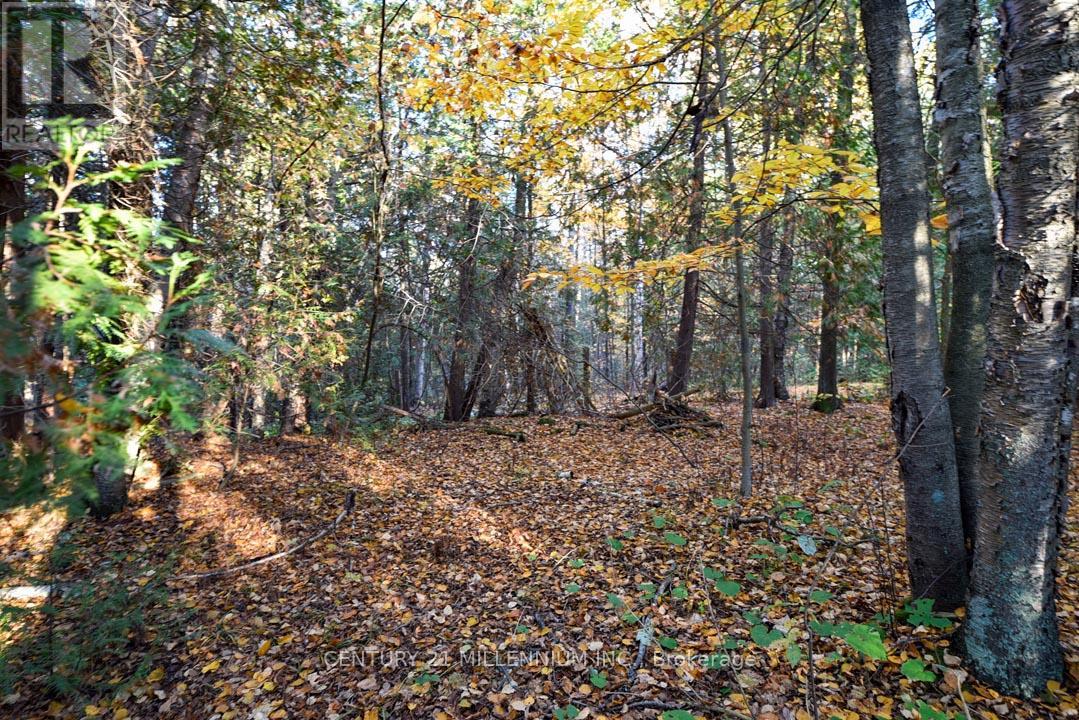 18599 HORSESHOE HILL ROAD - 45