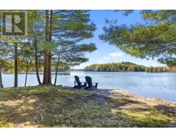 1054 Fair-lee Park Road, Muskoka Lakes, ON P0B1G0 Photo 19
