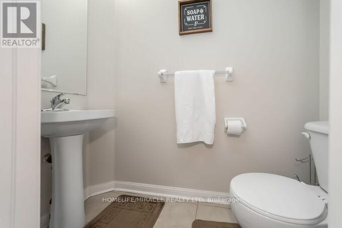 22 RACCOON STREET - 24
