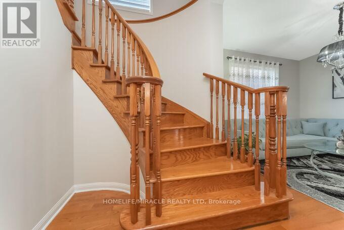 22 RACCOON STREET - 25