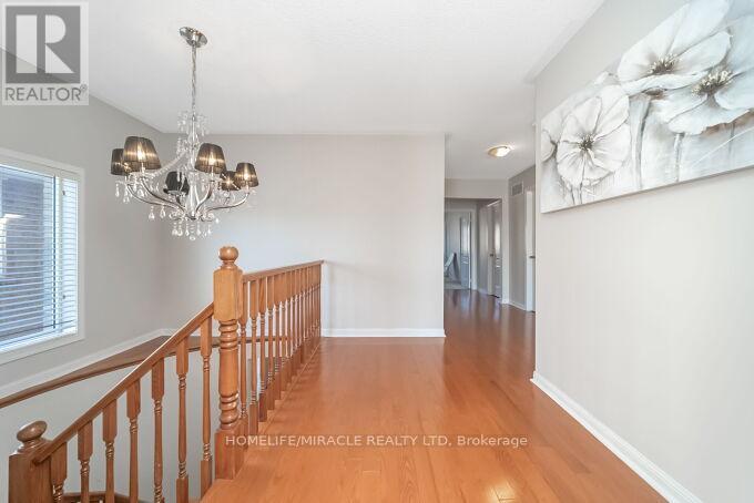 22 RACCOON STREET - 27