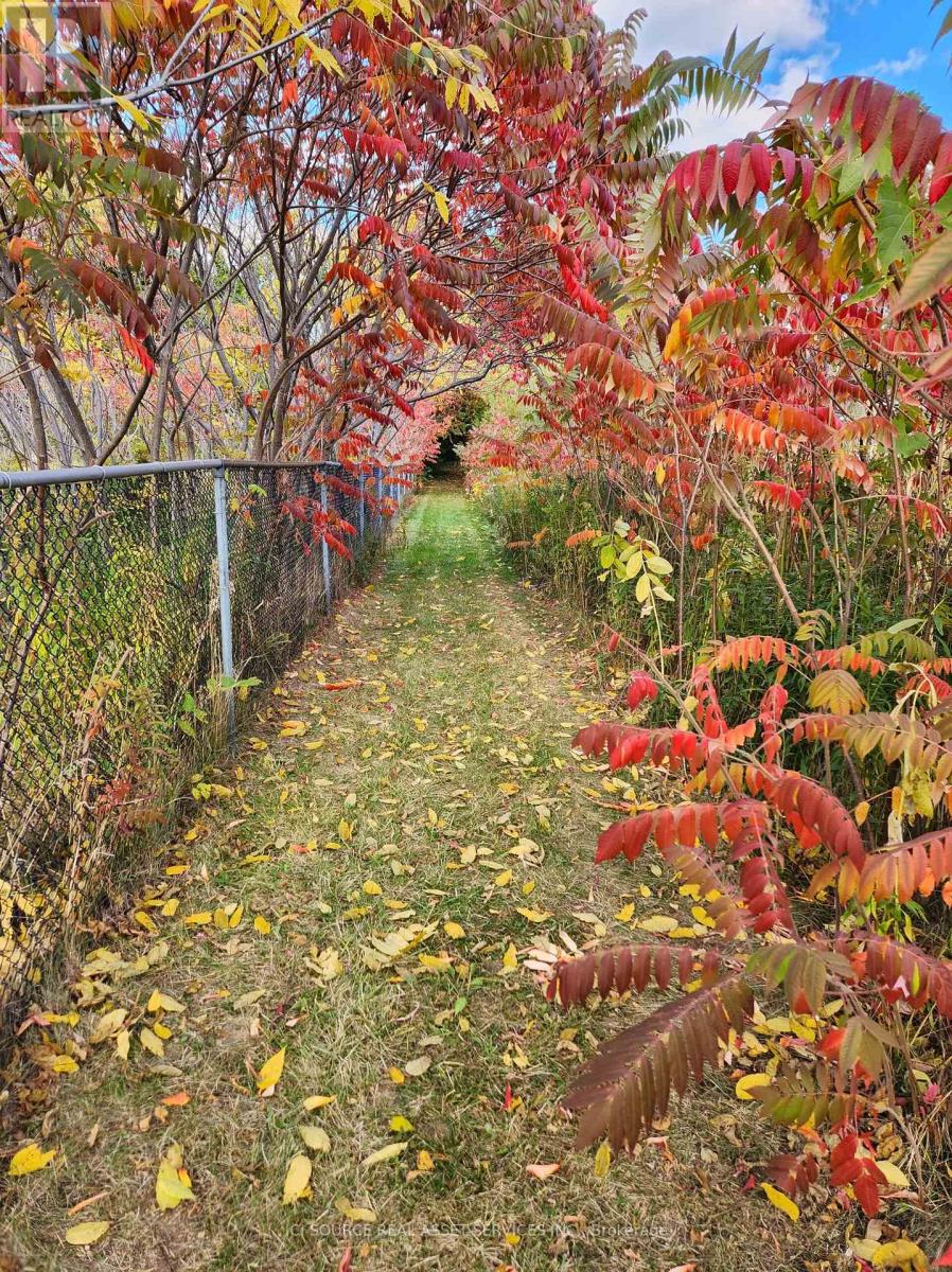 8 RENWOOD PLACE - 18