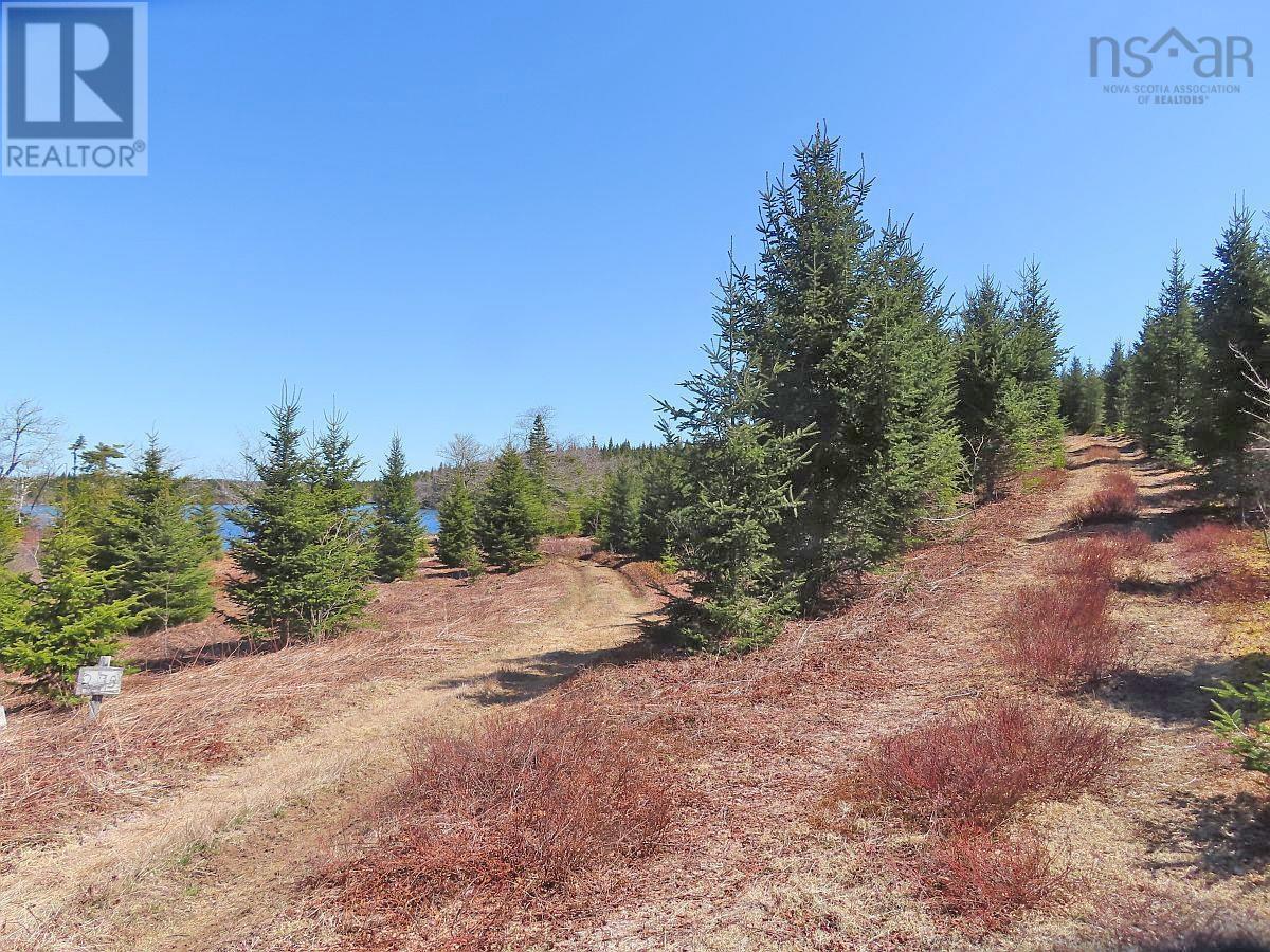 Property 19 of 49 of 169.5 Acres Tompkinsville Road