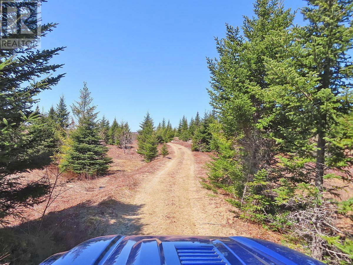Property 20 of 49 of 169.5 Acres Tompkinsville Road