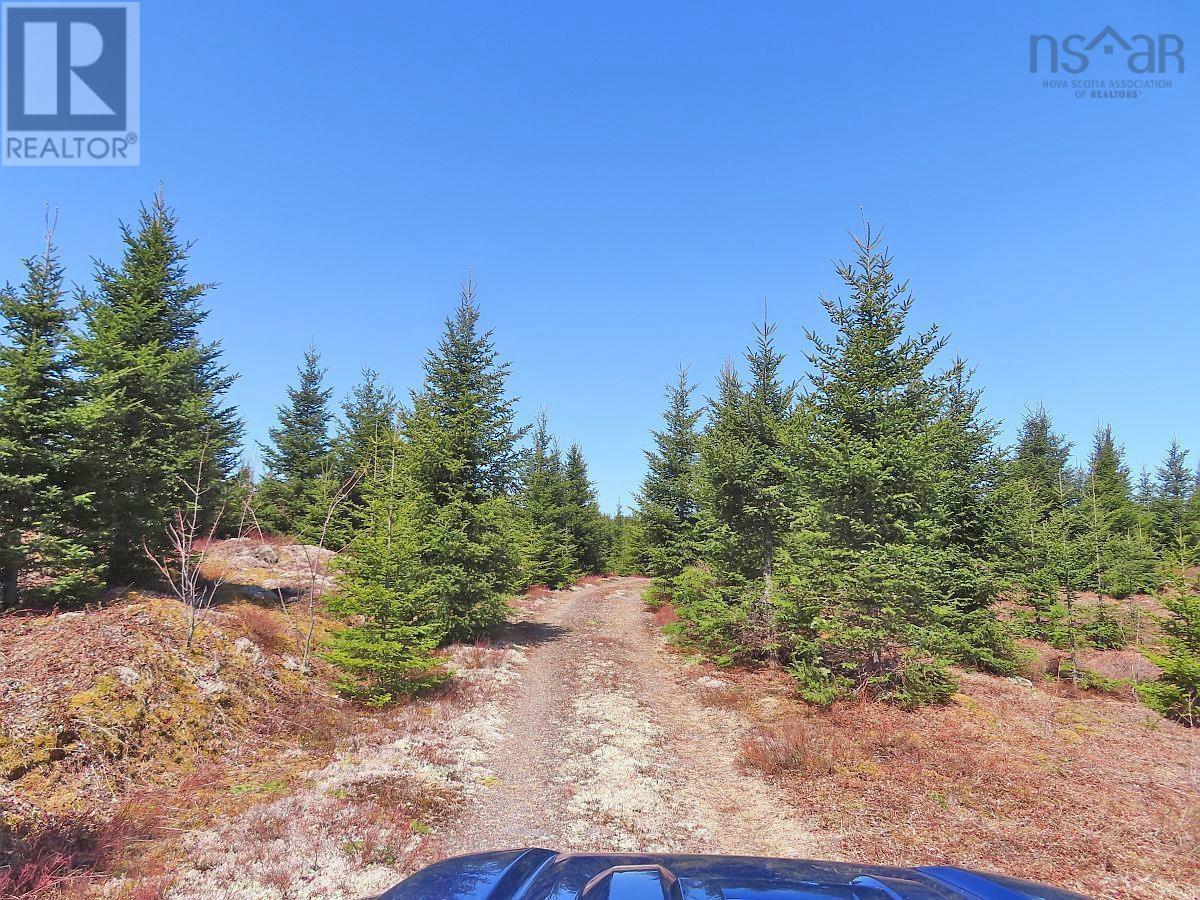 Property 21 of 49 of 169.5 Acres Tompkinsville Road
