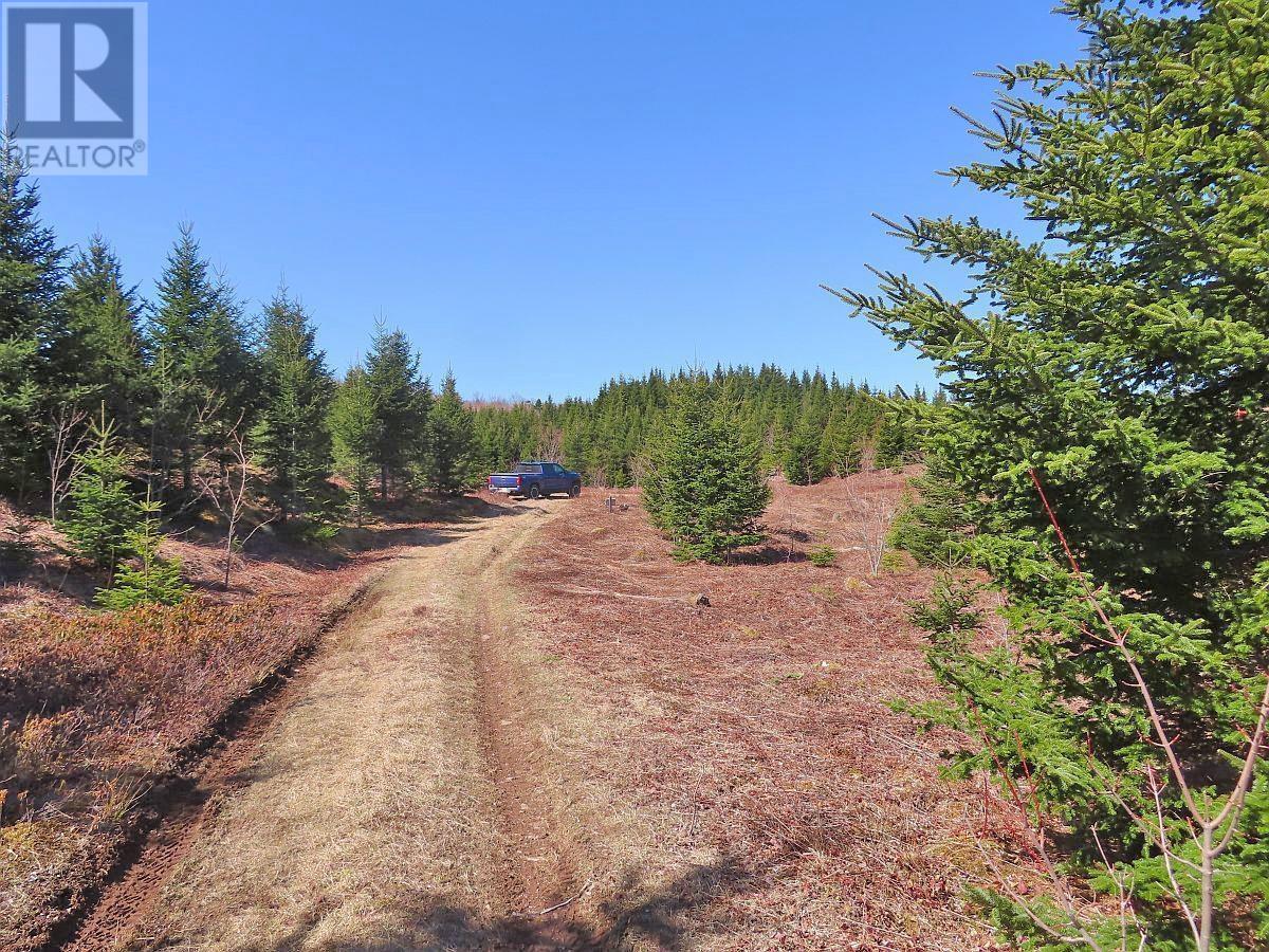 Property 22 of 49 of 169.5 Acres Tompkinsville Road