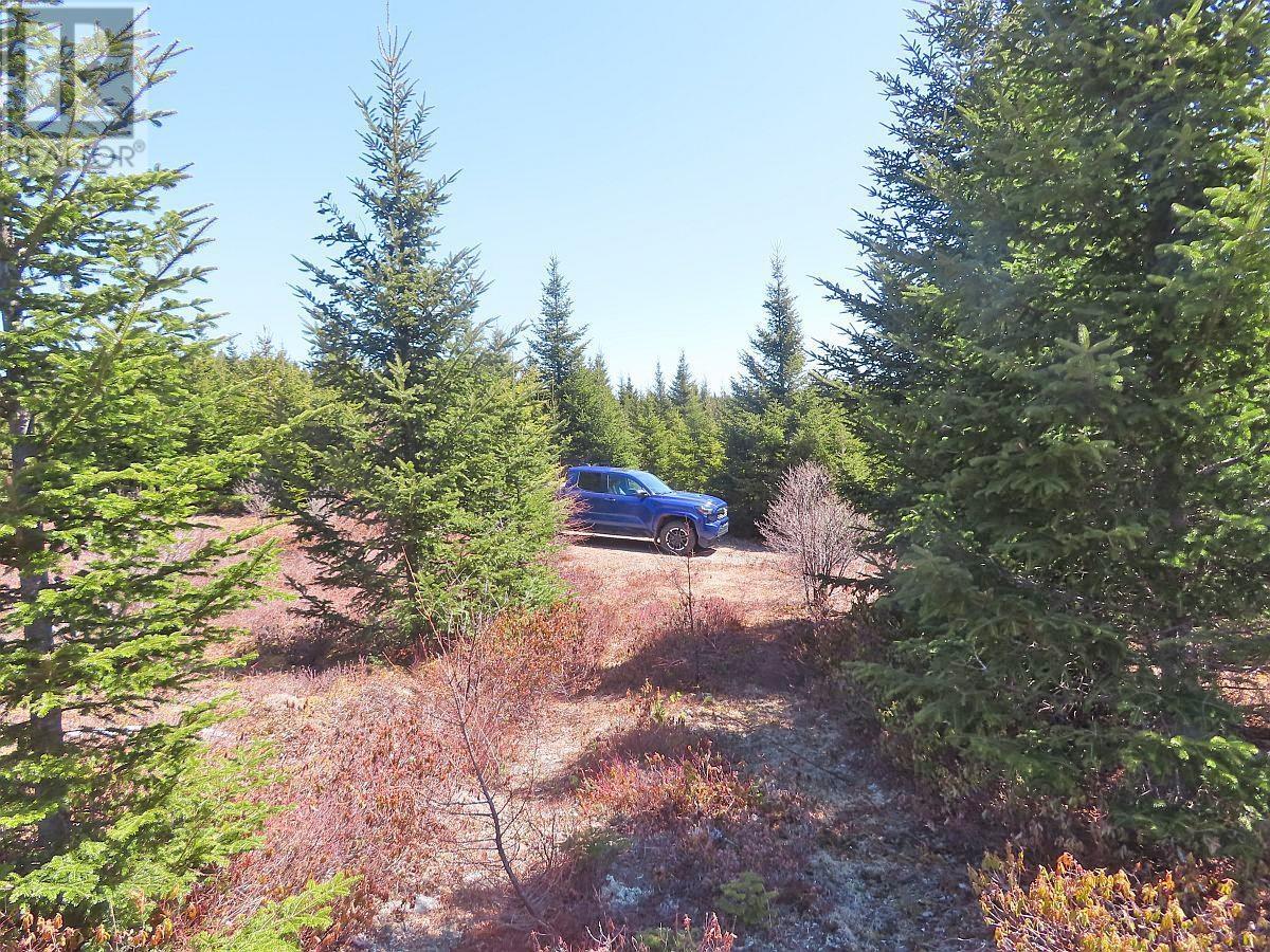 Property 23 of 49 of 169.5 Acres Tompkinsville Road