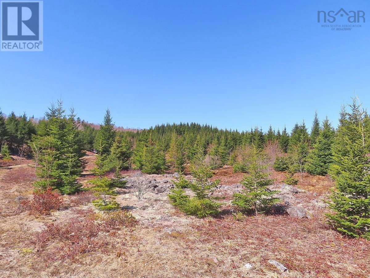 Property 24 of 49 of 169.5 Acres Tompkinsville Road