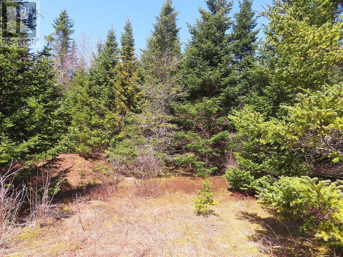 Property 25 of 49 of 169.5 Acres Tompkinsville Road