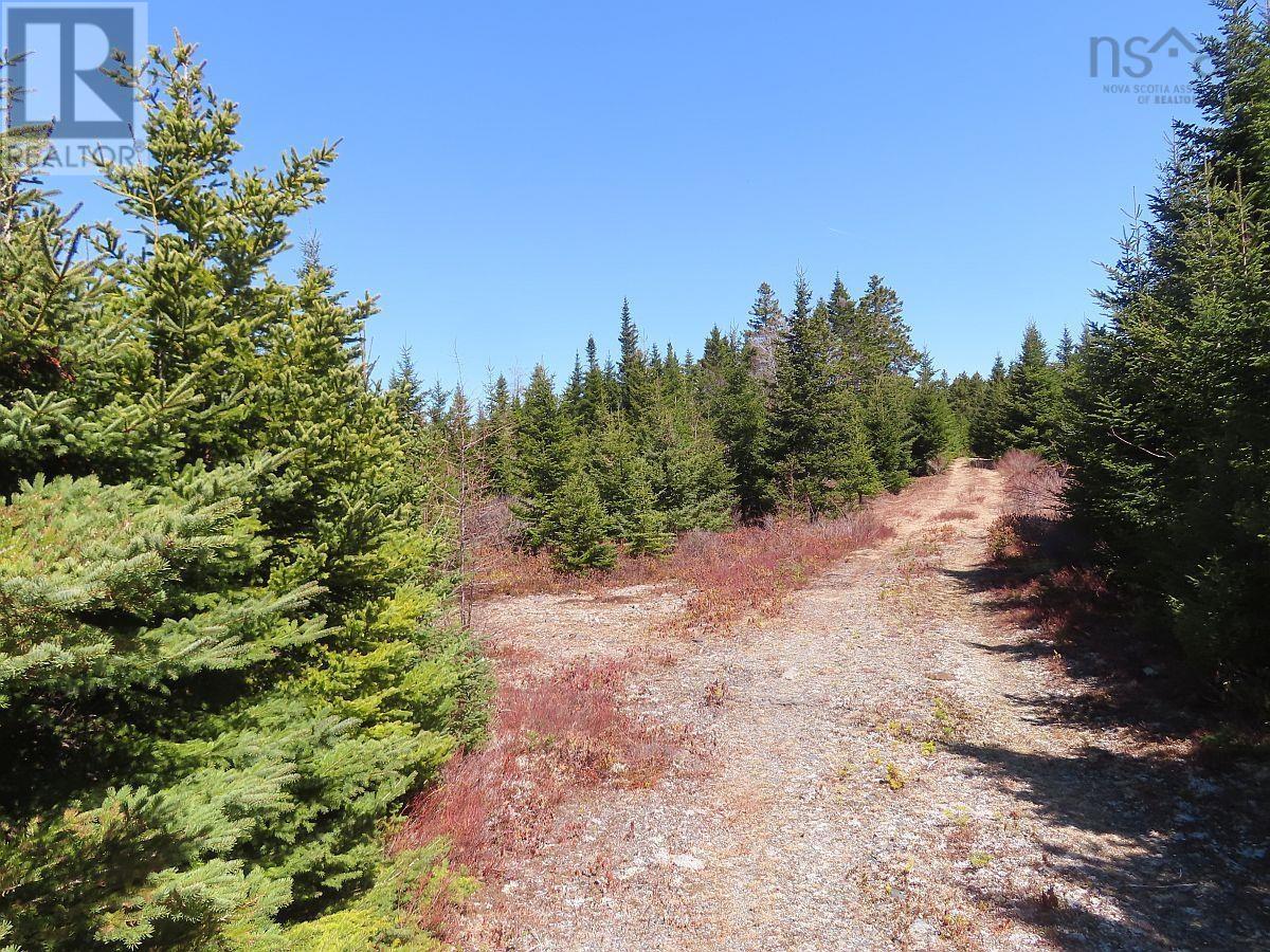 Property 26 of 49 of 169.5 Acres Tompkinsville Road