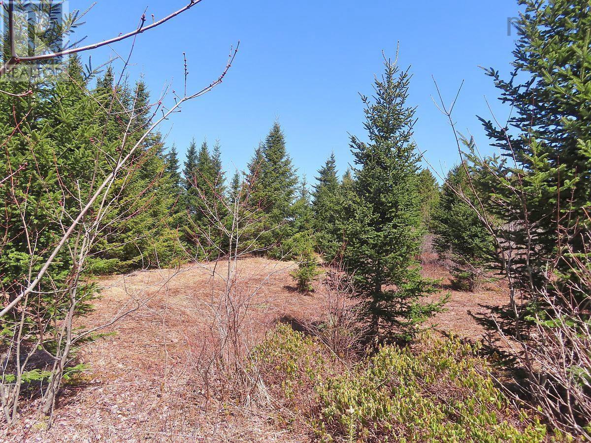 Property 27 of 49 of 169.5 Acres Tompkinsville Road