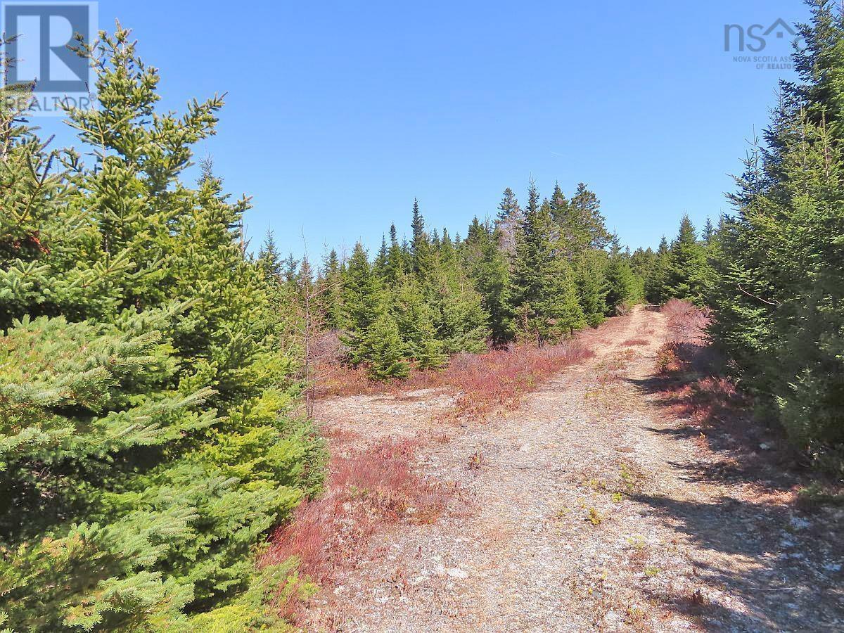 Property 28 of 49 of 169.5 Acres Tompkinsville Road