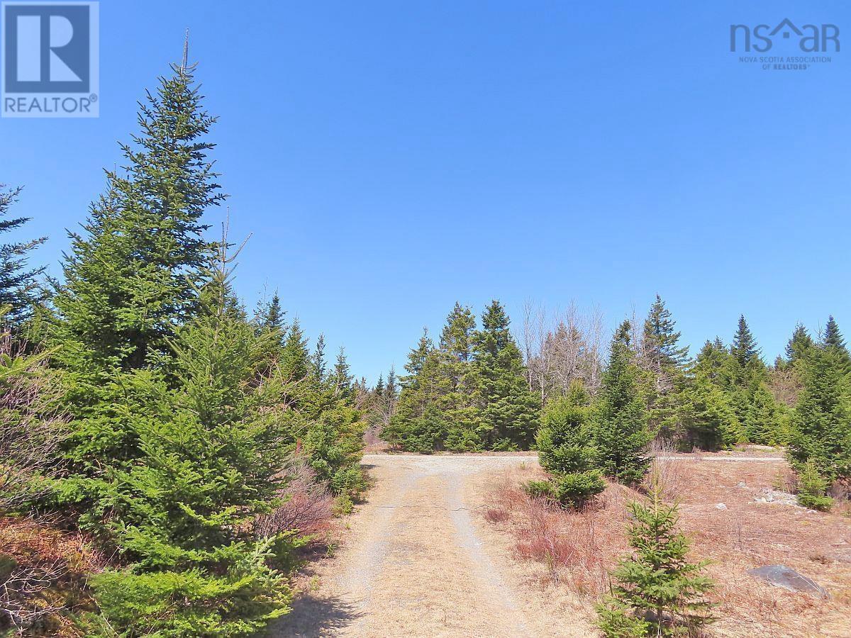 Property 29 of 49 of 169.5 Acres Tompkinsville Road