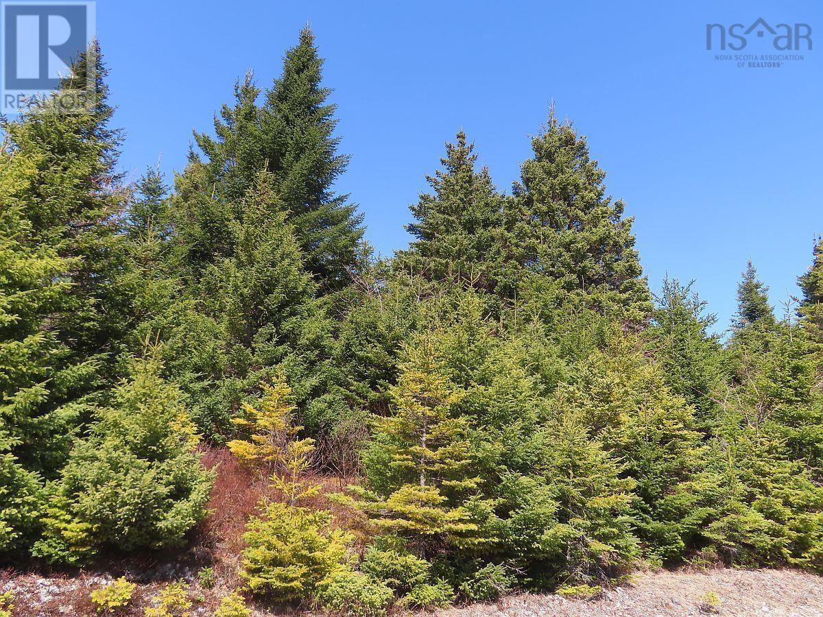 Property 31 of 49 of 169.5 Acres Tompkinsville Road