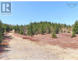 169.5 Acres Tompkinsville Road, Tompkinsville, NS B0H1N0 Photo 11
