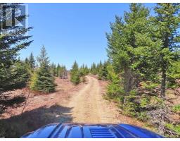 169.5 Acres Tompkinsville Road, Tompkinsville, NS B0H1N0 Photo 31