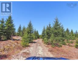 169.5 Acres Tompkinsville Road, Tompkinsville, NS B0H1N0 Photo 19