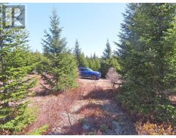 169.5 Acres Tompkinsville Road, Tompkinsville, NS B0H1N0 Photo 32