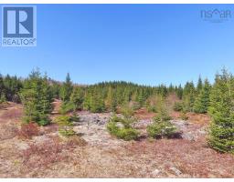169.5 Acres Tompkinsville Road, Tompkinsville, NS B0H1N0 Photo 10