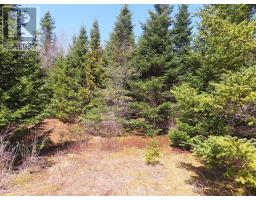 169.5 Acres Tompkinsville Road, Tompkinsville, NS B0H1N0 Photo 8