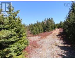169.5 Acres Tompkinsville Road, Tompkinsville, NS B0H1N0 Photo 33