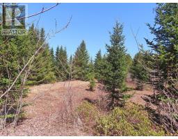 169.5 Acres Tompkinsville Road, Tompkinsville, NS B0H1N0 Photo 18