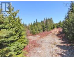 169.5 Acres Tompkinsville Road, Tompkinsville, NS B0H1N0 Photo 26