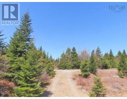 169.5 Acres Tompkinsville Road, Tompkinsville, NS B0H1N0 Photo 35