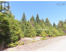 169.5 Acres Tompkinsville Road, Tompkinsville, NS B0H1N0 Photo 30