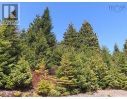 169.5 Acres Tompkinsville Road, Tompkinsville, NS B0H1N0 Photo 47
