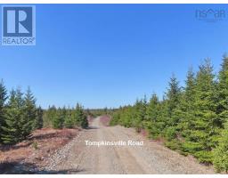 169.5 Acres Tompkinsville Road, Tompkinsville, NS B0H1N0 Photo 16