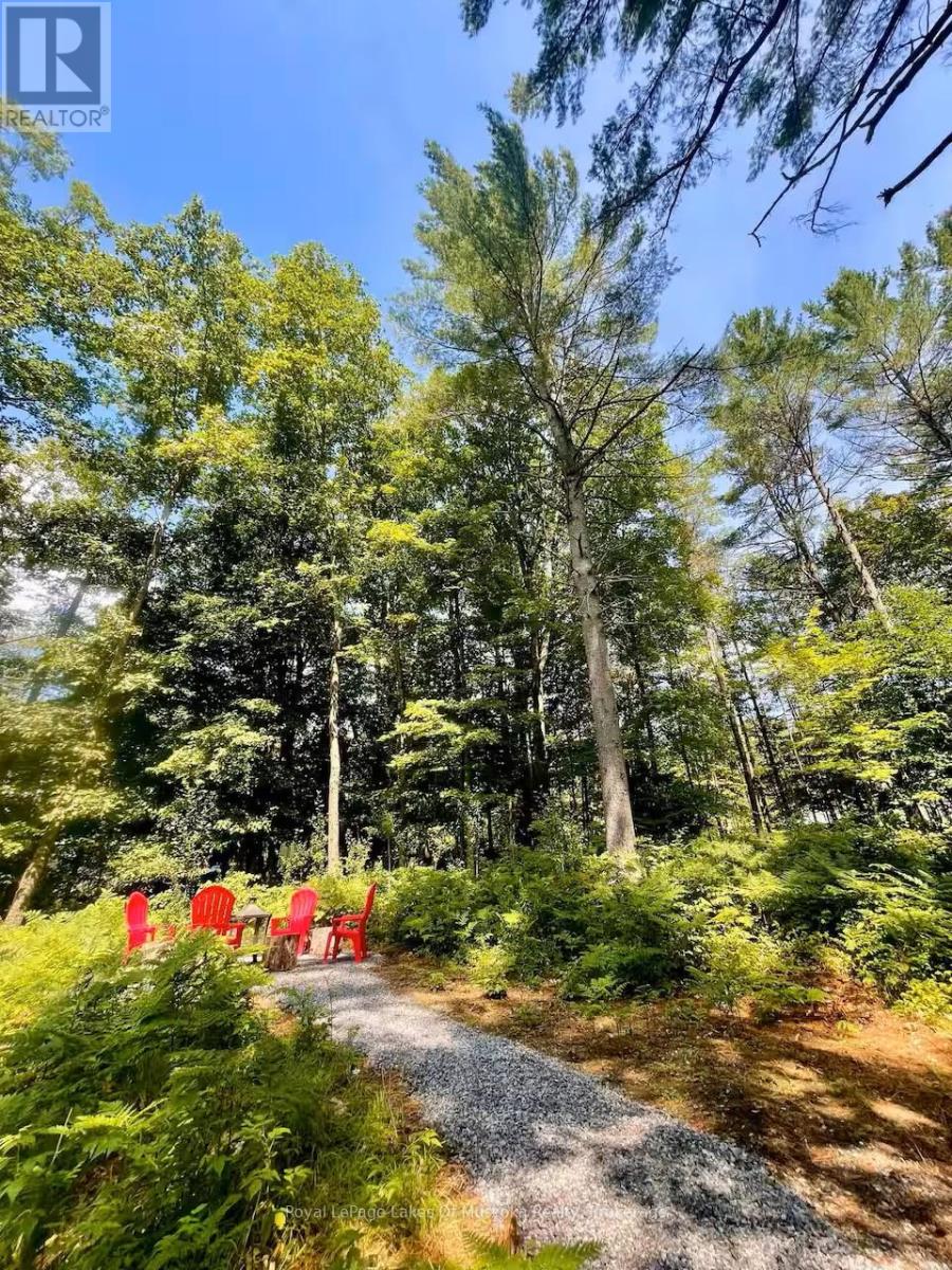 886 MUSKOKA 10 ROAD - 12