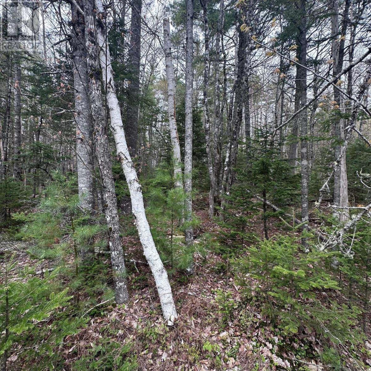 Property 2 of 12 of Lot 10 Moose Pit Road