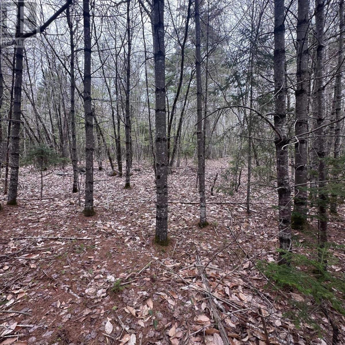 Property 8 of 12 of Lot 10 Moose Pit Road