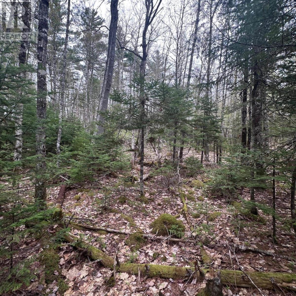 Property 1 of 12 of Lot 10 Moose Pit Road