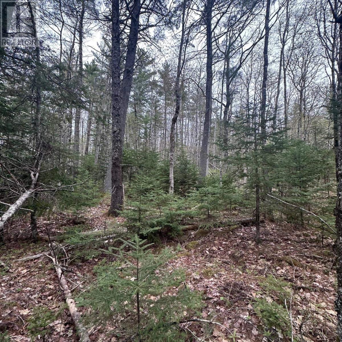 Property 3 of 12 of Lot 10 Moose Pit Road