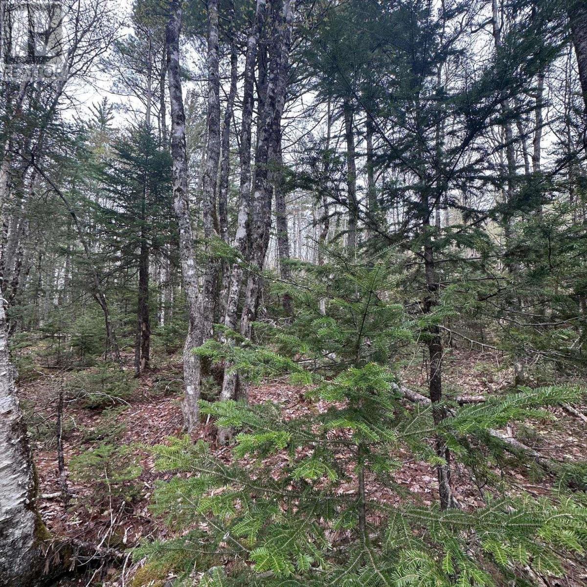 Property 7 of 12 of Lot 10 Moose Pit Road