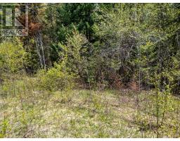 Pt Lt 26 Con 17 Cardiff Hwy #648 (loop) Road, Highlands East, ON K0L2A0 Photo 15