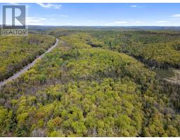 Pt Lt 26 Con 17 Cardiff Hwy #648 (loop) Road, Highlands East, ON K0L2A0 Photo 7