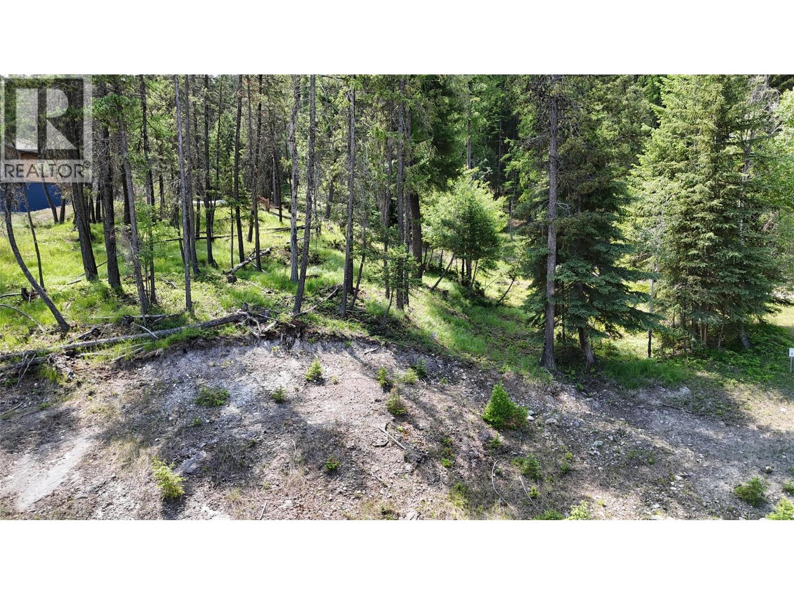 Vacant Land for Sale in Wardner – SL44 OSPREY Landing Drive, Wardner - Image 3