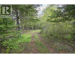 95 Acadie Street, Grande Anse, NB E8N1A1 Photo 8